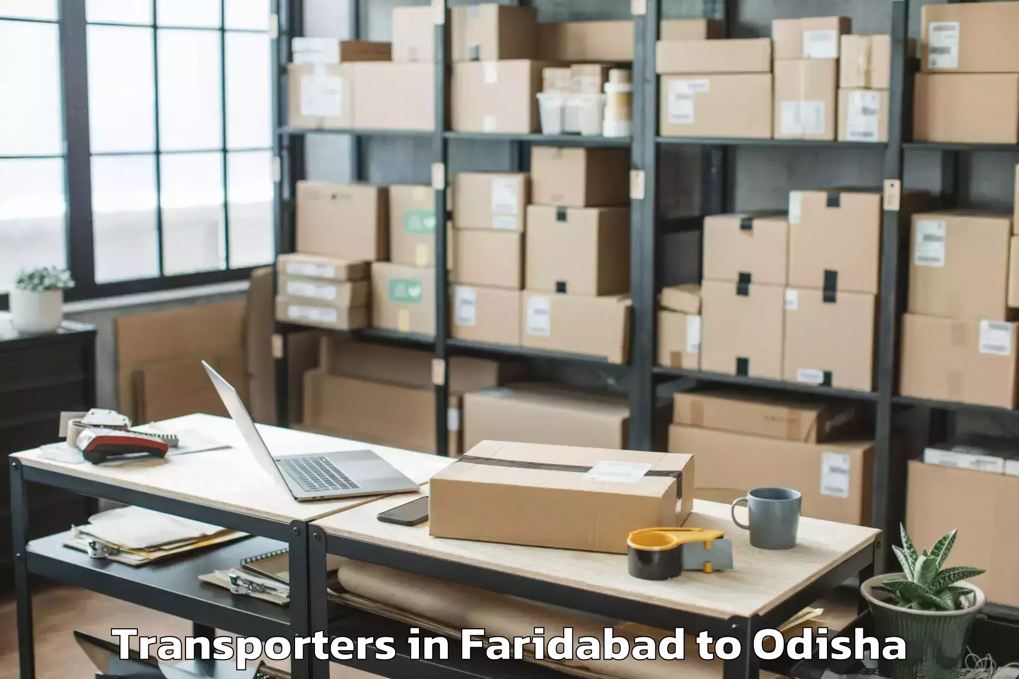 Top Faridabad to Mahanga Transporters Available